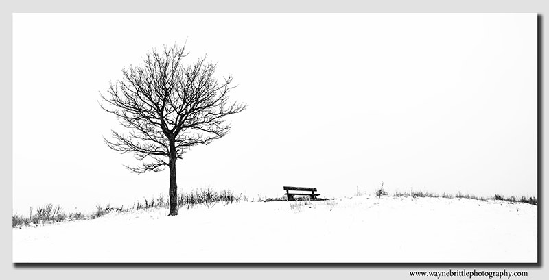 Sinai Snow