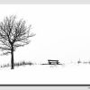 Sinai Snow