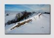 Snow over Hadrians Wall - Northumberland NS8180