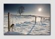 Snowfall and Sunlight - SS3968