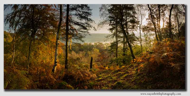 The Edge of Stanton Moor in Autumn Light - Peak District - PPW5D3