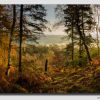 The Edge of Stanton Moor in Autumn Light - Peak District - PPW5D3