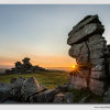 Staple Torr Sunset - W5D34747
