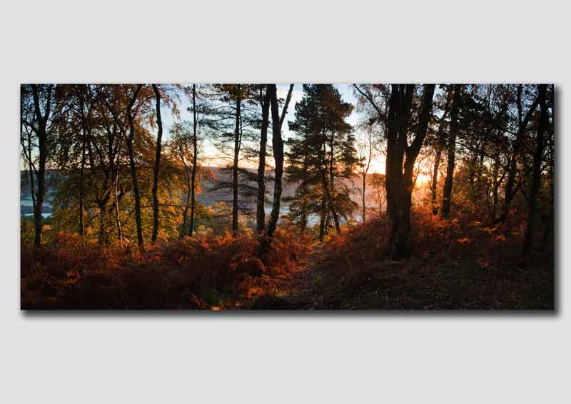 Sunrise on the edge of Stanton Moor -Panorama - PP111
