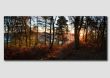Sunrise on the edge of Stanton Moor -Panorama - PP111