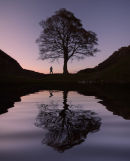 Sycamore Gap Dusk Reflection - R107