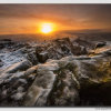 The-Roaches---Winters-Light----4--W5D30465
