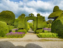 Levens Hall topiary