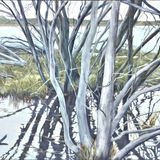 Kangaroo Island wetland Bronwen Bassett