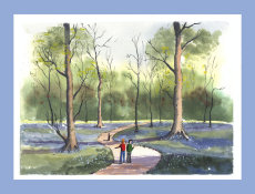 Bluebell Wood