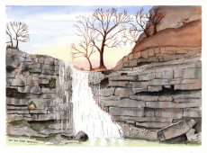 East Gill Force