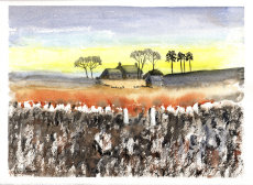 Hallscale Farm Yorkshire