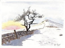 Roseberry Topping after Snowfall