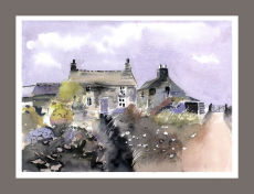 Snowdonia Farm