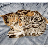 Brother and sister 2