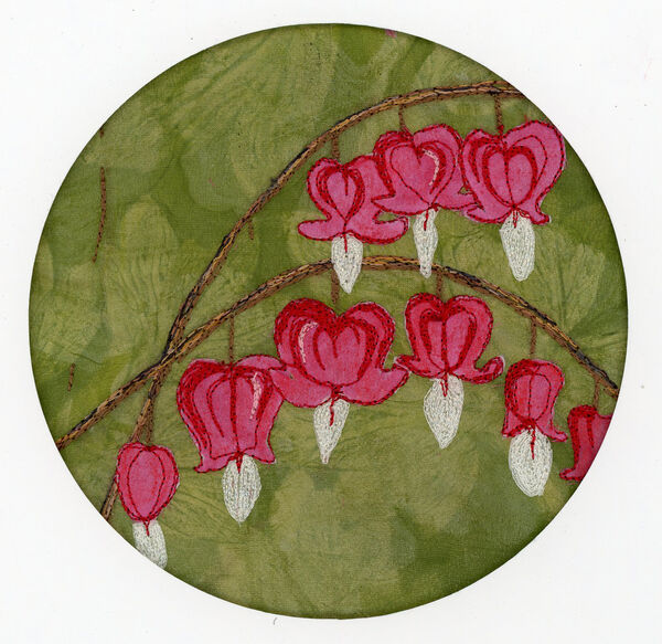 Dicentra