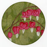 Dicentra