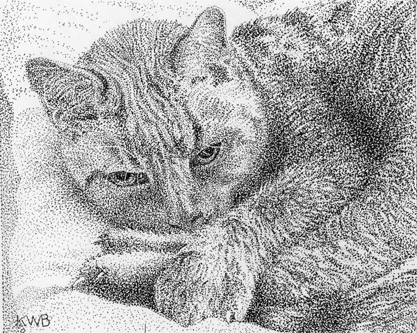 Monty wakes