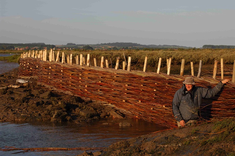 Baz Scampion of Burnham Willow and a nearly completed Erosion project.