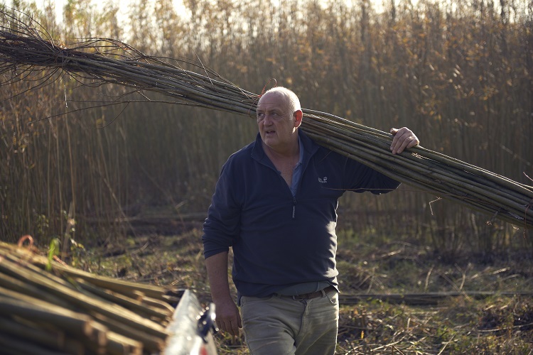 Baz Scampion Working in the Willow Bed
