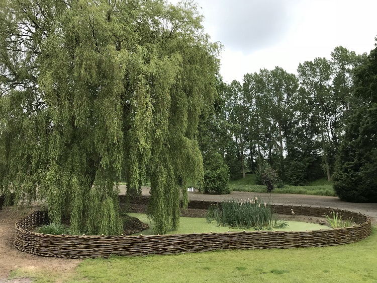 Burnham Willow Fencing.
