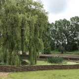 Burnham Willow Fencing.