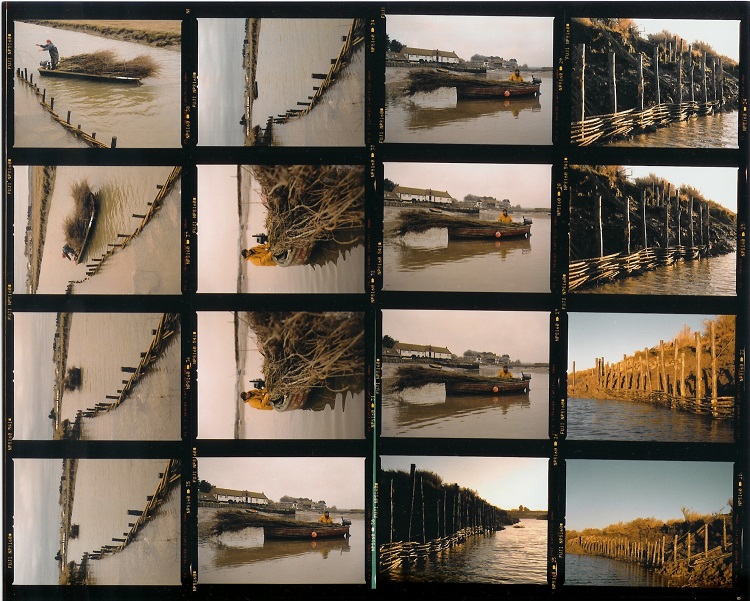 Burnham Willow Contact Sheet Work at Overy Staithe