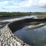 Burnham Willow Erosion Management Project. Burnham Overy Staithe