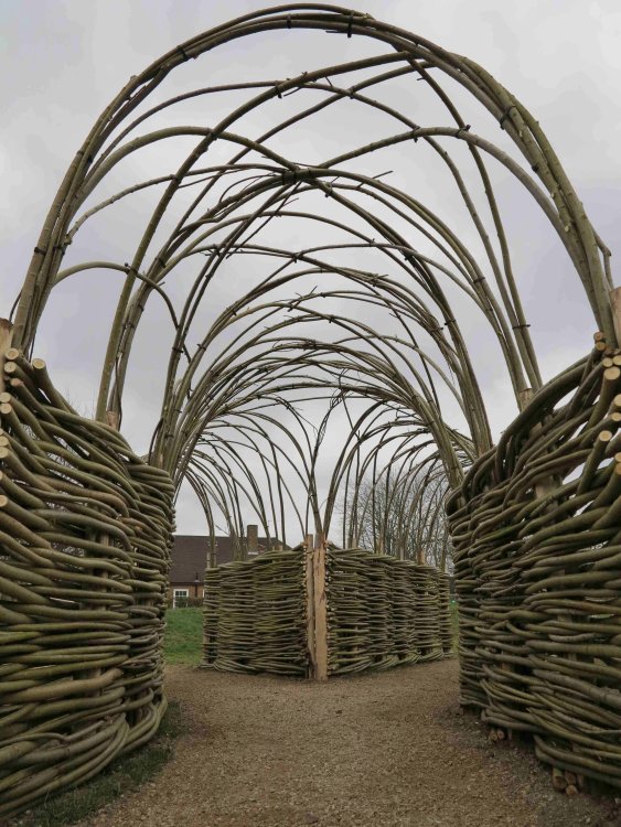 Burnham Willow Living Willow Arch/Tunnel