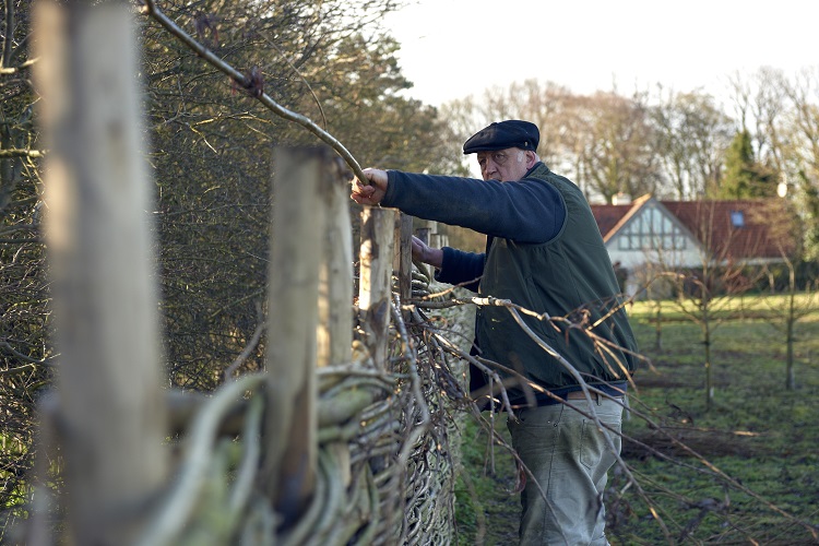 Baz of Burnham Willow weaving
