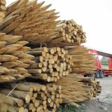 Delivery of Sustainably grown Chestnut posts