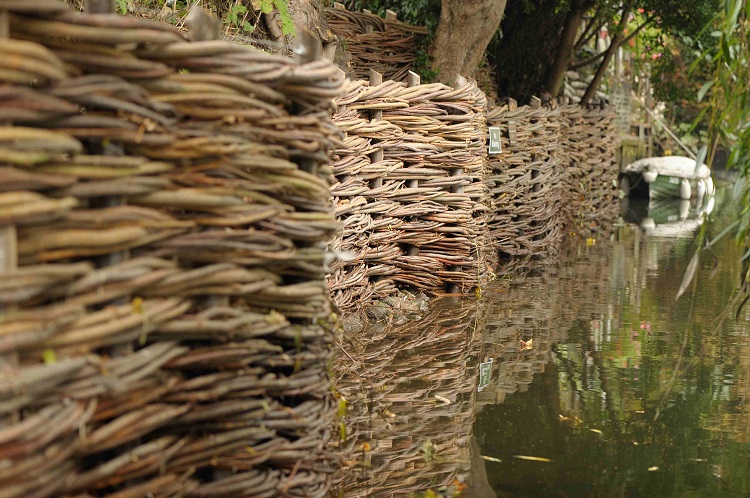 Burnham Willow Bank Erosion control Project on the River Wensum