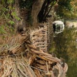 Burnham Willow Erosion Management on the River Wensum Norwich