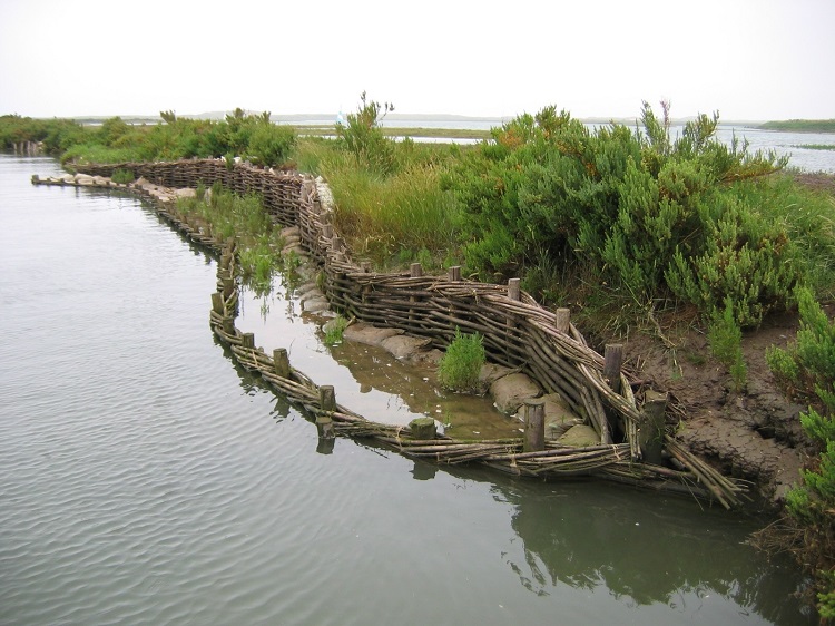 Burnham Willow Erosion Management Project. Burnham Overy Staithe
