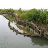 Burnham Willow Erosion Management Project. Burnham Overy Staithe