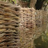 Burnham Willow Bank Erosion control Project on the River Wensum