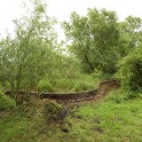 Burnham Willow Erosion Management