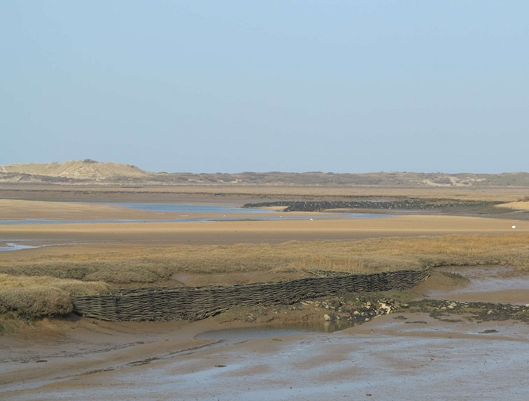 Burnham Willow Erosion Project.