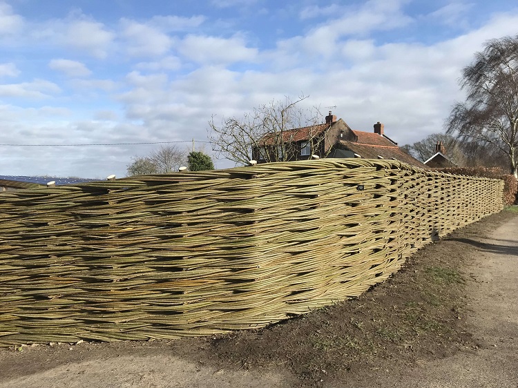 Burnham Willow Handmade Woven Willow Fencing