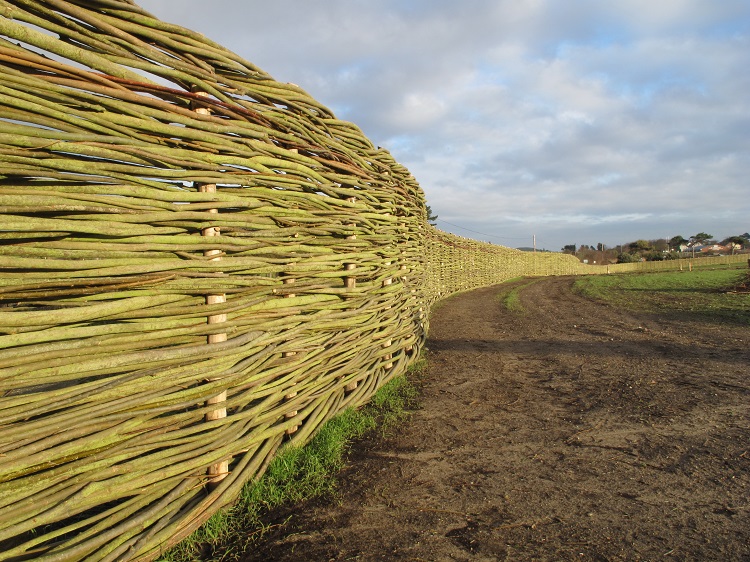 Burnham Willow woven willow fencing.