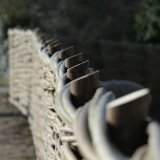Burnham Willow Handmade Woven Willow Fencing