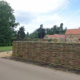 Burnham Willow Fencing.