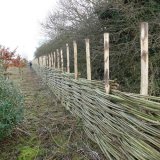 Burnham Willow Fencing being made in Burnham Market