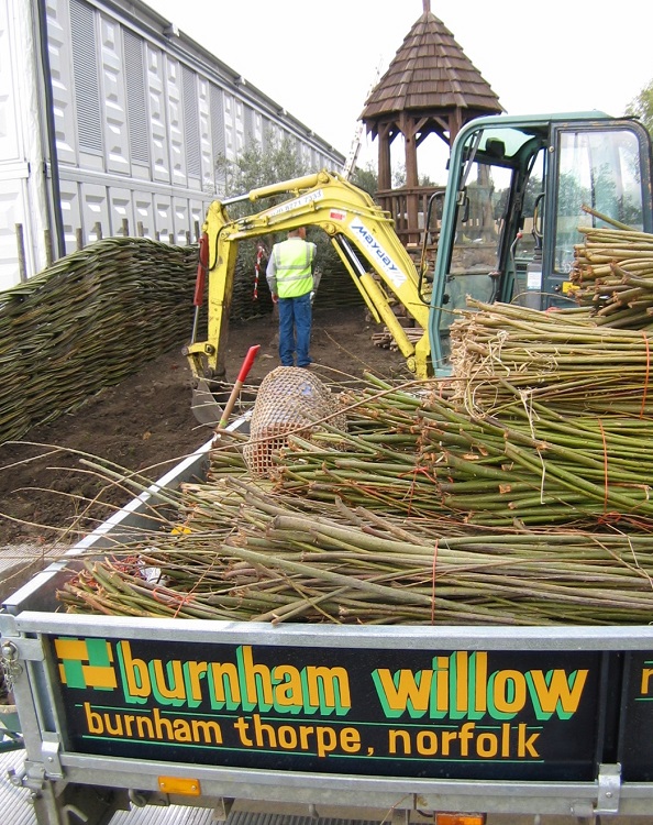 Burnham Willow at the RHS Chelsea Flower Show