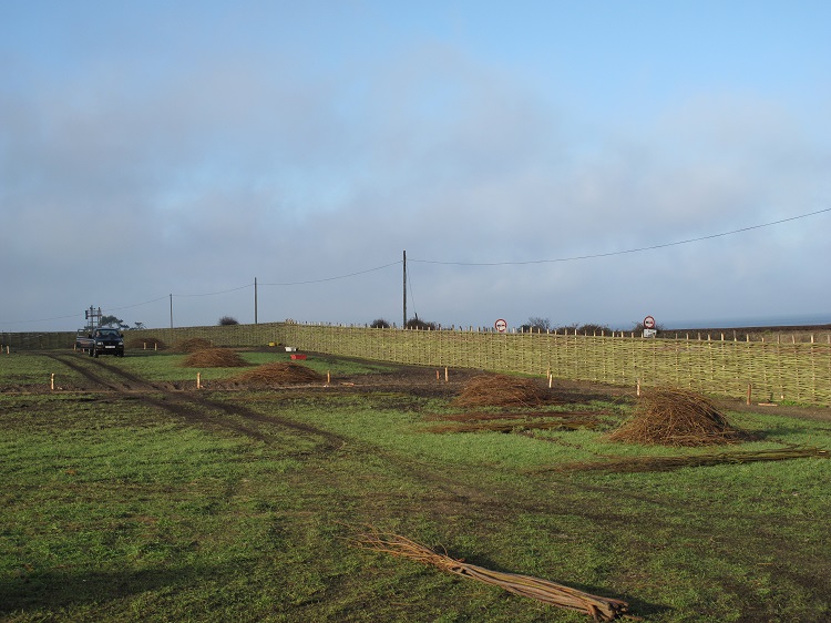 Burnham Willow Natural Woven Fencing