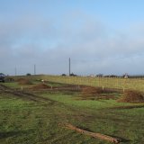 Burnham Willow Natural Woven Fencing