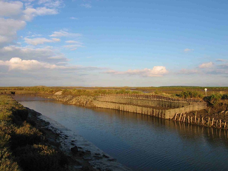 Burnham Willow Erosion Management project.
