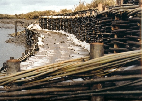 Erosion control works by Burnham Willow at Burnham Overy Staithe