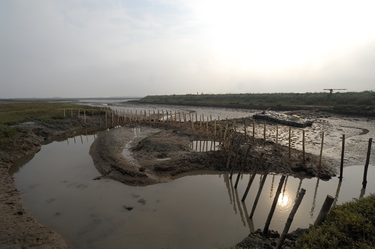 Burnham Willow Erosion Project. Burnham Overy Staithe