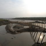 Burnham Willow Erosion Project. Burnham Overy Staithe